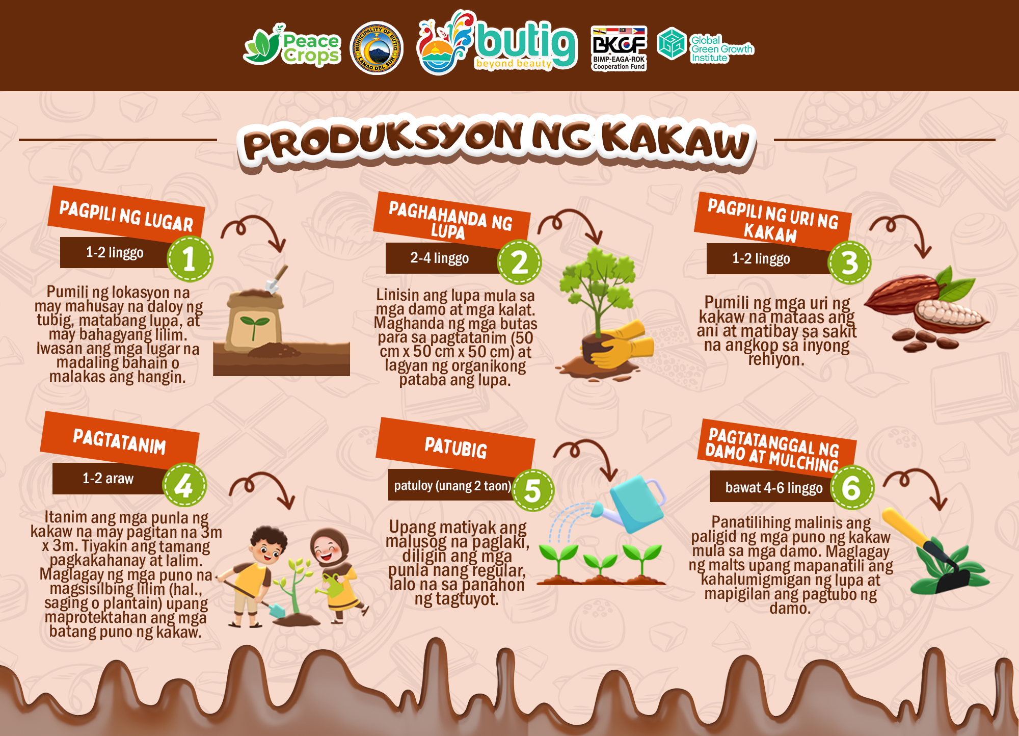 𝗟𝗲𝗮𝗿𝗻𝗶𝗻𝗴 𝗠𝗼𝗱𝘂𝗹𝗲: 𝗖𝗮𝗰𝗮𝗼 𝗣𝗿𝗼𝗱𝘂𝗰𝘁𝗶𝗼𝗻 𝗦𝘁𝗲𝗽𝘀